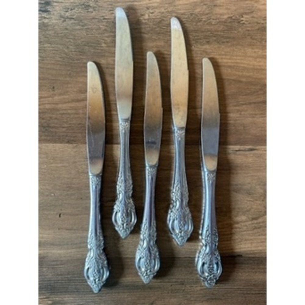 Vintage Oneida Renoir Pembrooke Stainless Flatware Dinner‎ Knives Set of 5